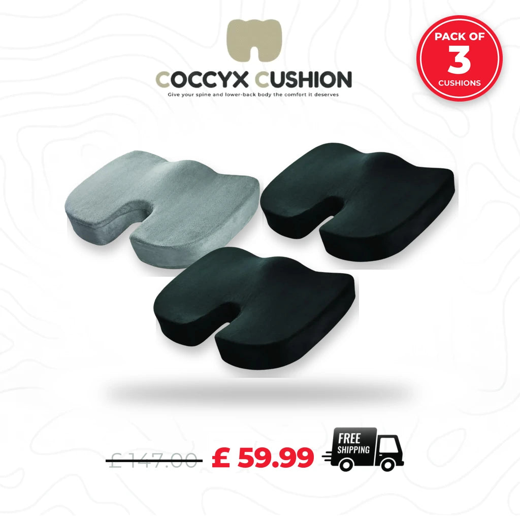 Coccyx Memory Foam Pillow (Bundle of 3)