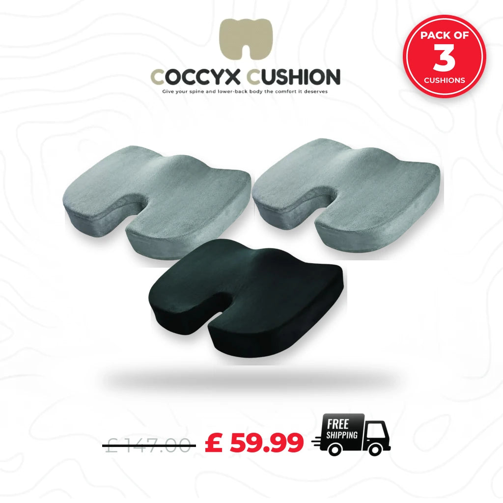 Coccyx Memory Foam Pillow (Bundle of 3)