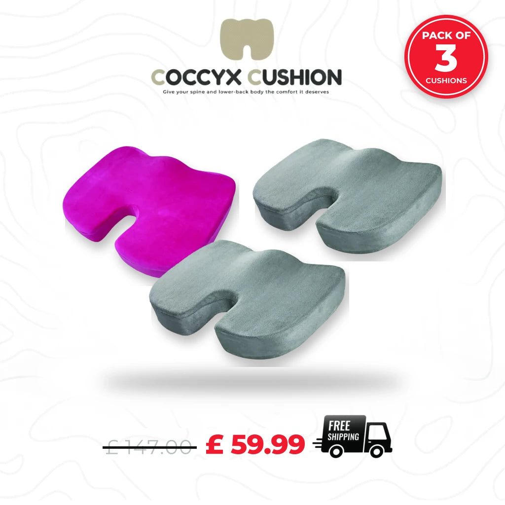 Coccyx Memory Foam Pillow (Bundle of 3)