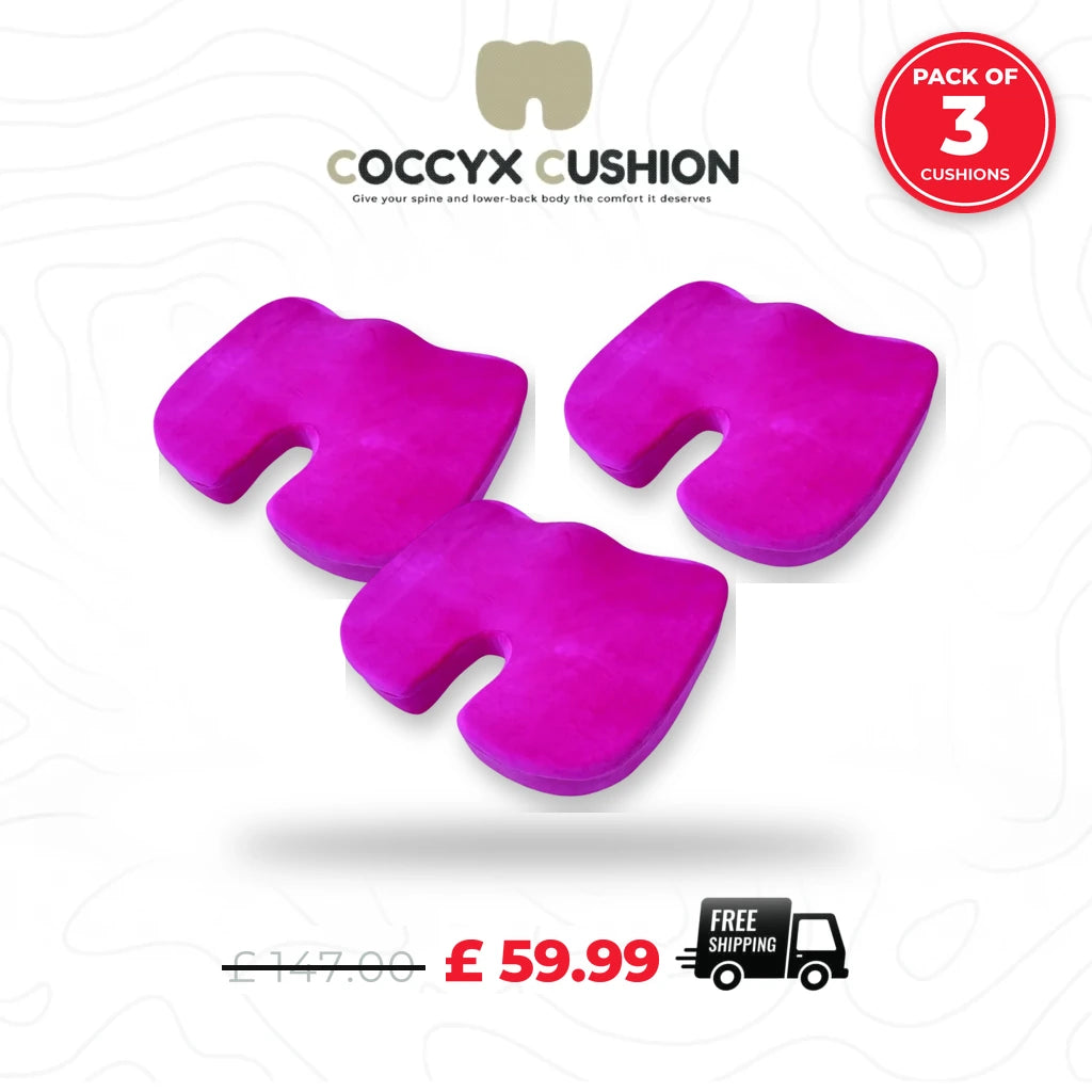 Coccyx Memory Foam Pillow (Bundle of 3)